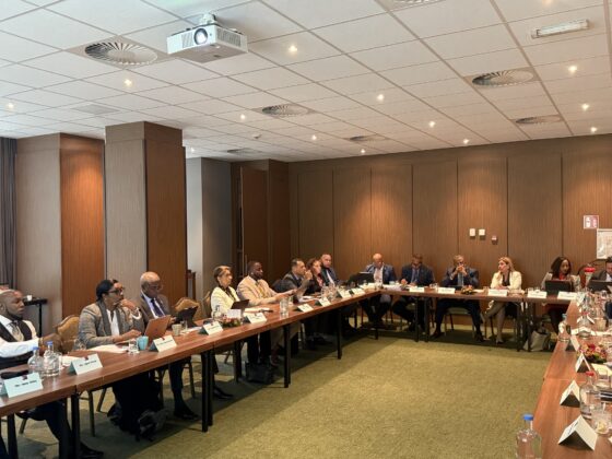 Parliament Delegation Participates in Tripartite Meeting in The Hague